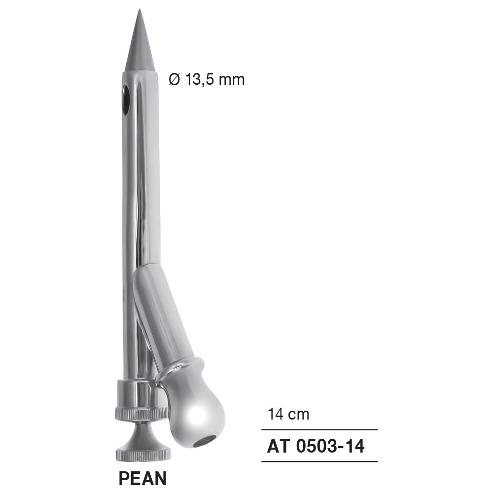 rochester-pean57